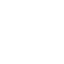 RH Share Price